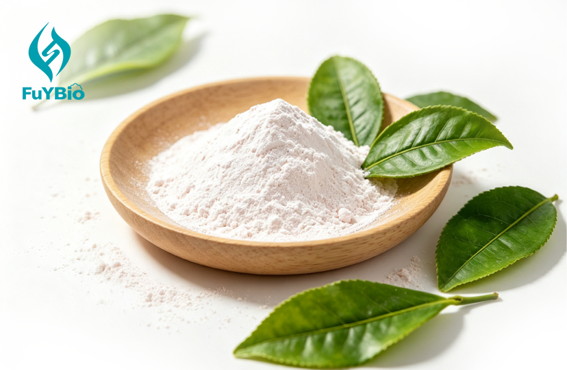 Green Tea Polyphenol Extract